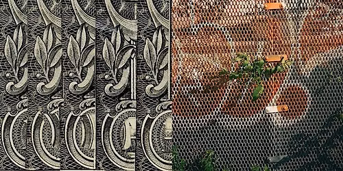 Acanthus\/Ailanthus with Kaitlin Pomerantz and Matthew Schrader
