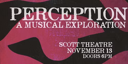 Perception a Musical Exploration