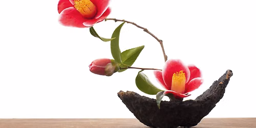 Ikebana Flower Arranging