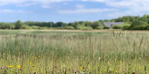 Connecting to Nature in the everyday