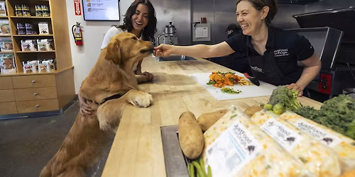 Your Dog's Invited! Meet the Chef at JustFoodforDogs