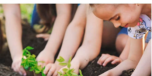 Let's Get Growing Children's Garden Club