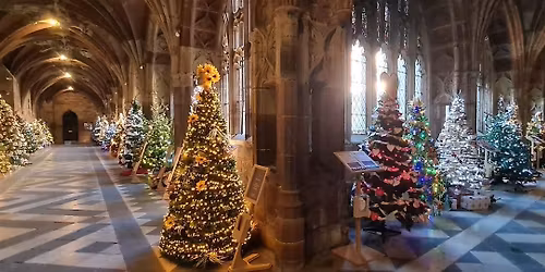 Schools Bookings: Worcester Cathedral Christmas Tree Festival 2025 (Free)
