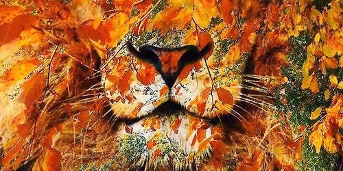 Albion Roots \u2728\ud83c\udf3914th Dec Congleton, Cheshire