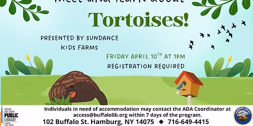 Meet and learn about Tortoises