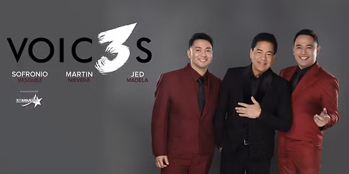 VOIC3S