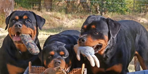 Engagement and Tricks with Paula \ud83e\udd70 - girls only day