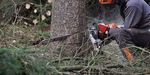 Emergency First Aid 1 day course including Forestry First Aid +F (RQF)