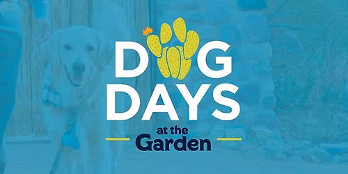 Dog Days of Summer