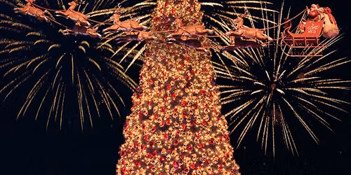 24th Annual Christmas at The Grove Tree Lighting Celebration  