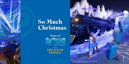 Christmas at Gaylord National