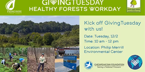 GivingTuesday Healthy Forests Workday with Scenic Rivers Land Trust, Save Our Trees, and CBF