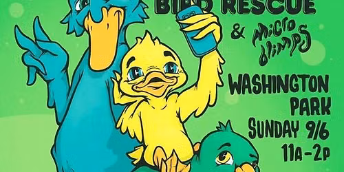 Duck-a-palooza 2!