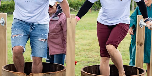 Les Vendanges at Bonvilla Estate