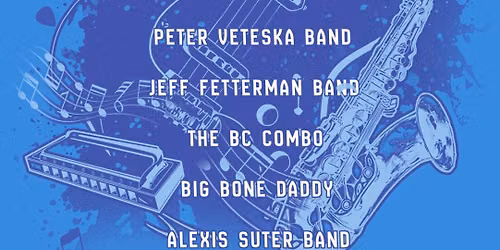 Big Bone Daddy | The BC Combo | Alexis P. Suter Band at Anglesea Blues Festival