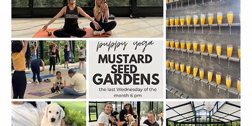 Puppy Yoga at Mustard Seed Gardens - Downward Dog & Adoptable Puppies