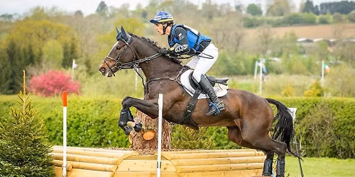 Spring Market w\/ Ludwig Svennerstal