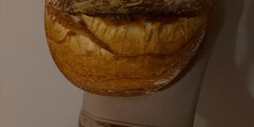 Moonlight madness at the roost