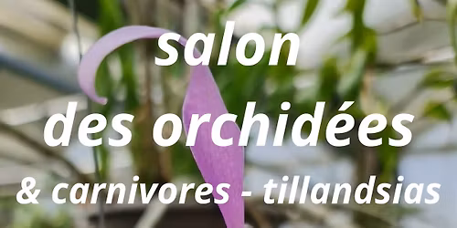 Exposition vente d'Orchidées, Carnivores et tillandsias à Saint-Ciers-sur Gironde(33820) 