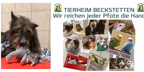 Ostereier suchen im Tierheim Beckstetten