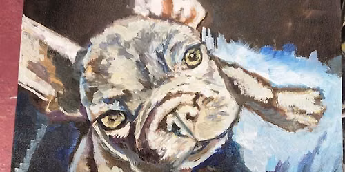 Pet Portrait Workshop