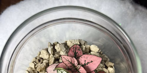 Terrarium Building Workshop- Create with Cypress Grove Exotics!