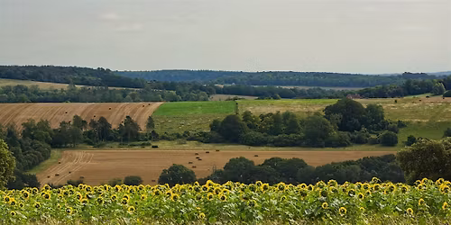 West Sussex Autumn Weekend Tour (from Chicago)