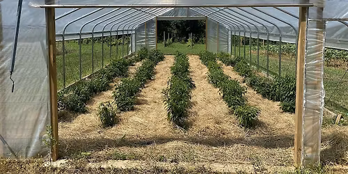 Urban Farming Vegetable and Fruit Production & IPM Workshop