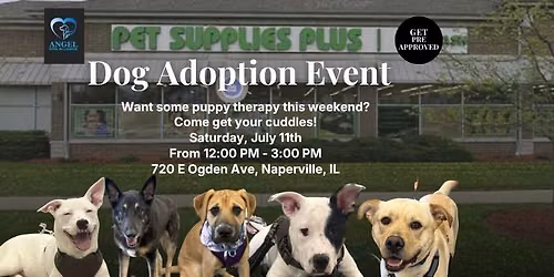 DOG ADOPTION EVENT - NAPERVILLE