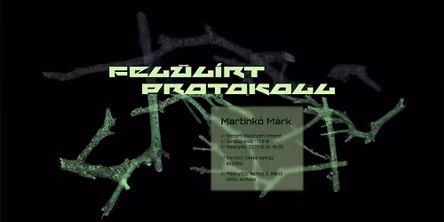 Martinkó Márk: Felülírt protokoll