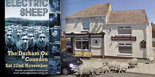 Electric Sheep at The Durham Ox