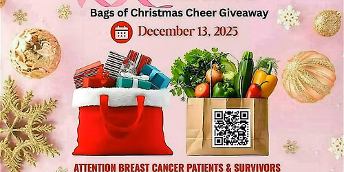Hope for Holidays - Bags of Christmas Cheer Giveaway