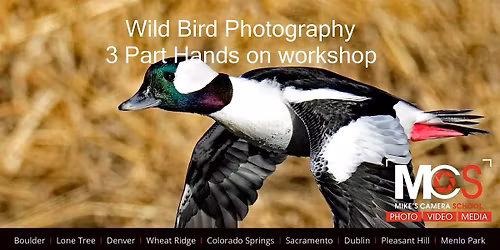 Wild Bird Photography at Kountze Lake - 3 Part workshop