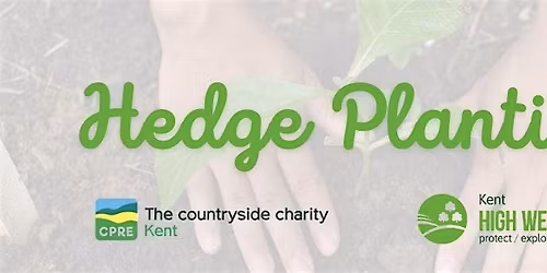 Hedge Planting in Hawkhurst - Hedgerow Heroes!