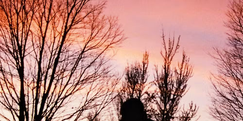 Scarlet House in City of New York