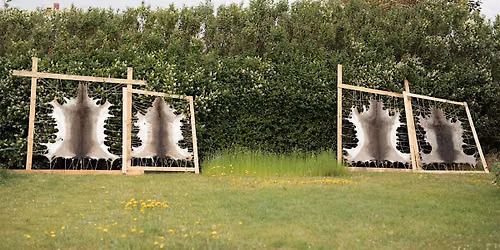Organic Fur or Buckskin Tanning