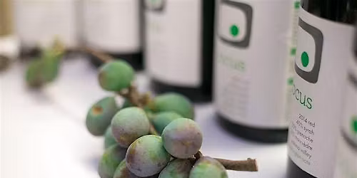 Wine Tasting with Locus Wines