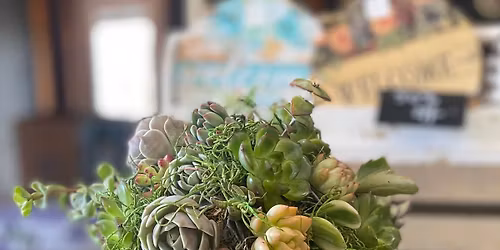 Succulent Sphere Topiary Workshop