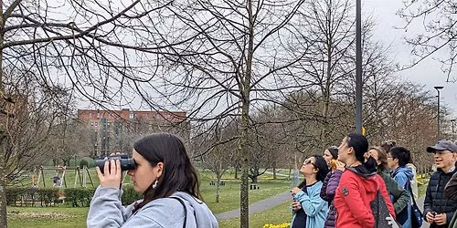BioBlitz - Bird Walk