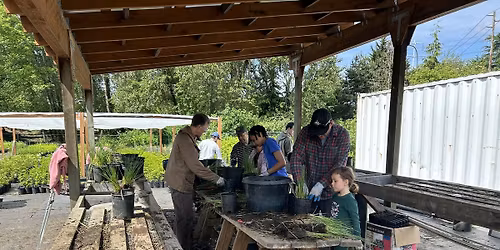 KCD Native Plant Cooperative