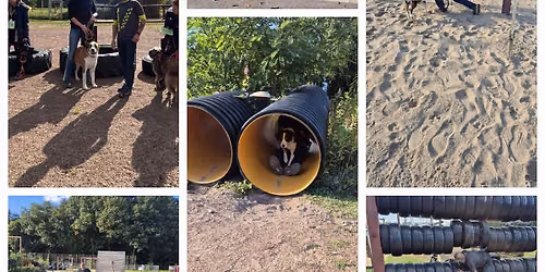 Canixfunsport vs Ruhrpottcross  Hindernislauf mit Hund