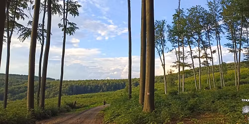 Trnavsk\u00e1 stovka 2026