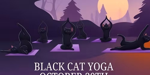 Black Cat Yoga
