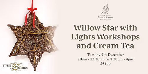 Willow Star with Lights Workshops and Cream Tea
