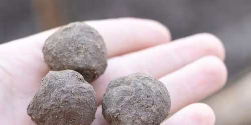 Make It: Seed Bombs