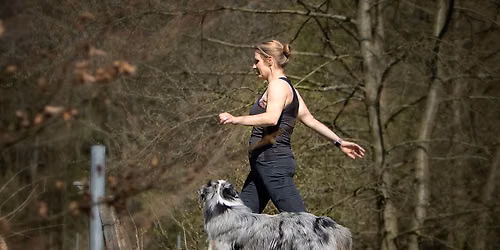 Perfect Heelwork I bis III - in Bayern!