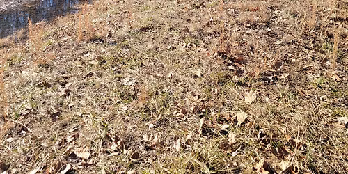 Grit & Grace 12-Hour Trail Race and 6-Hour Ruck