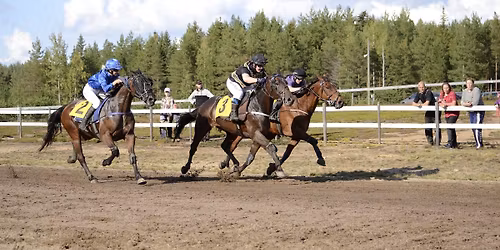 Paikallisravit Miehikk\u00e4l\u00e4ss\u00e4 Pellinkankaan raviradalla