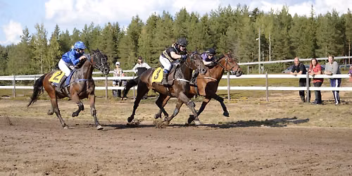 Paikallisravit Miehikk\u00e4l\u00e4ss\u00e4 Pellinkankaan raviradalla