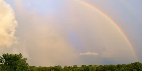 Junior Naturalists: Weather